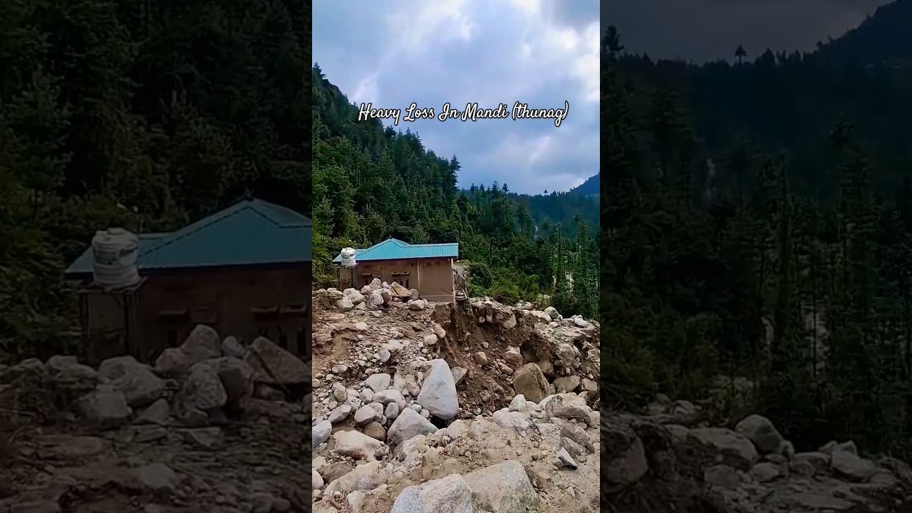 Heavy Loss In Mandi (thunag) deji village #shortsfeeds #flood #floods #flash #mandi #himachal