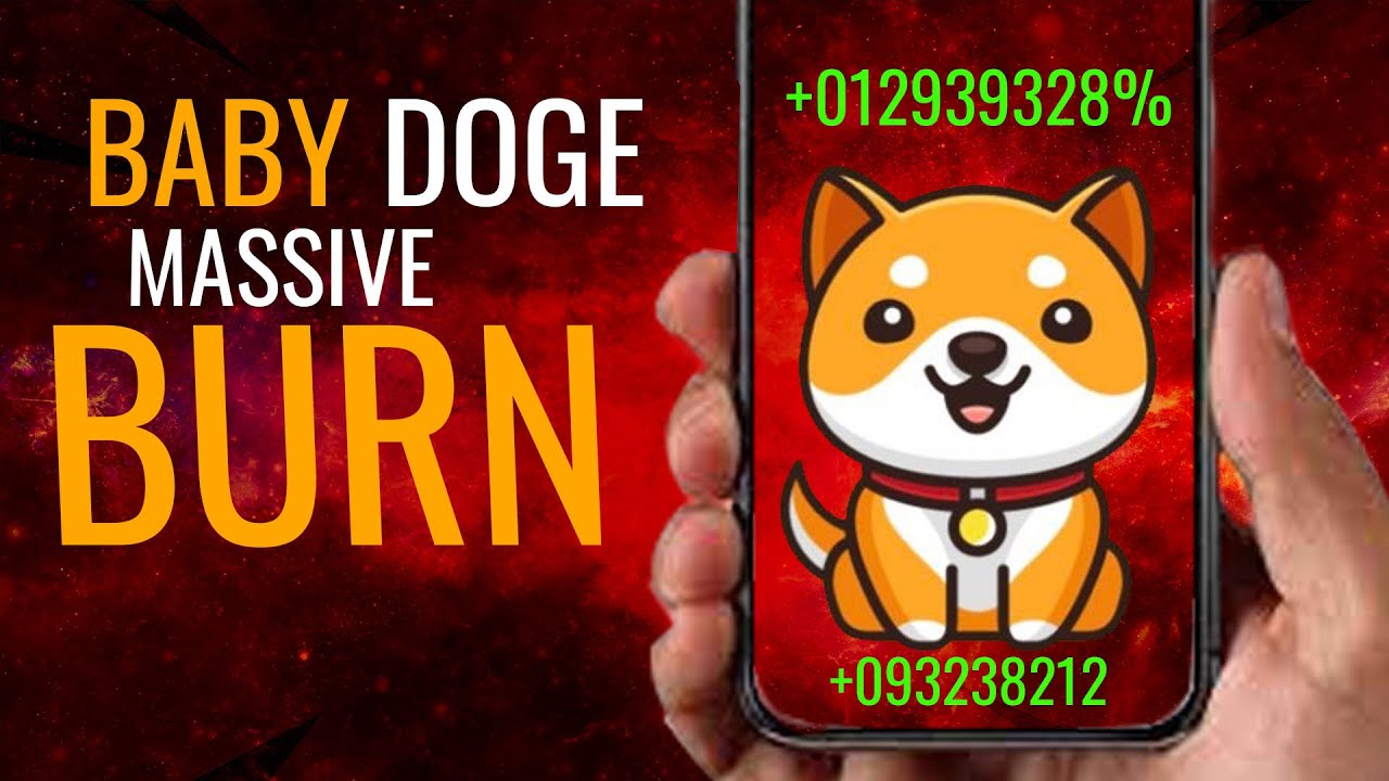 BABY DOGE CRYPTO 3,000,000,000,000 TOKENS TO BE BURNED + UPDATES