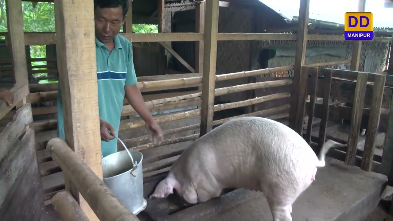 Agriculture Programme | Bokashi Piggery Farming at Khongjom