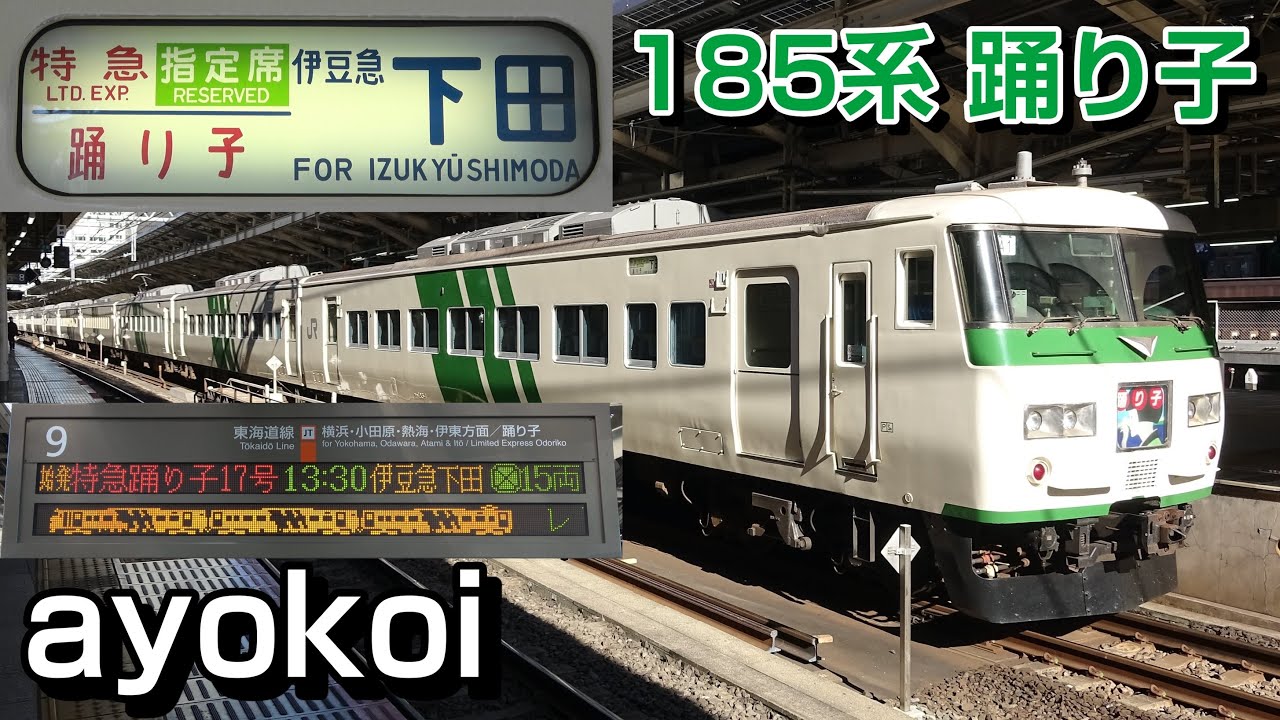 185系特急踊り子17号 モハ184走行音 東京-伊豆急下田