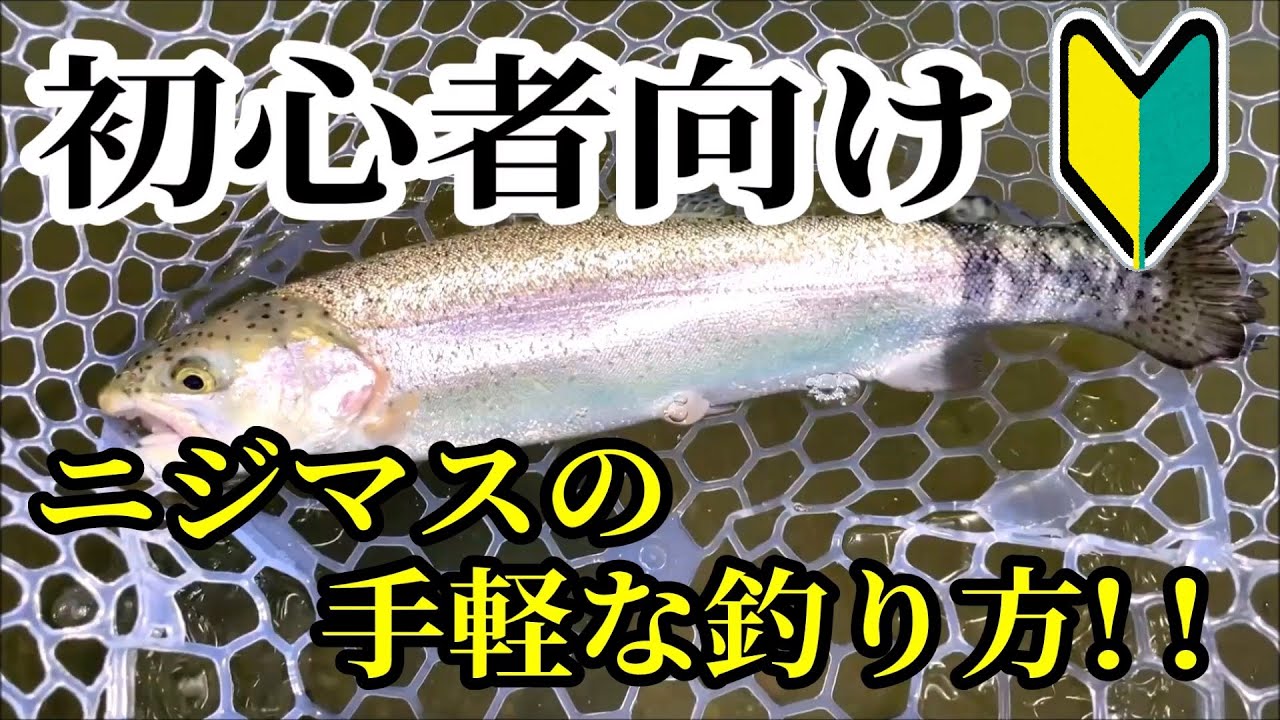 【誰でも簡単】管理釣り場のニジマスの手軽な釣り方を紹介！！　エリアトラウトはルアーフィッシング入門に最適です！！【管釣り】【釣り方】【タックル】【初心者向け】【フィッシャーリゾート庄原】