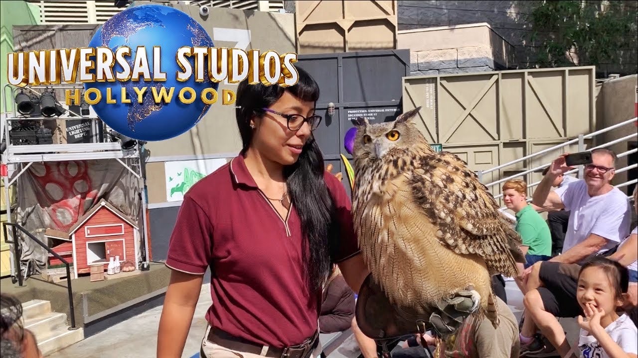 Universal Studios Animal Actors Show
