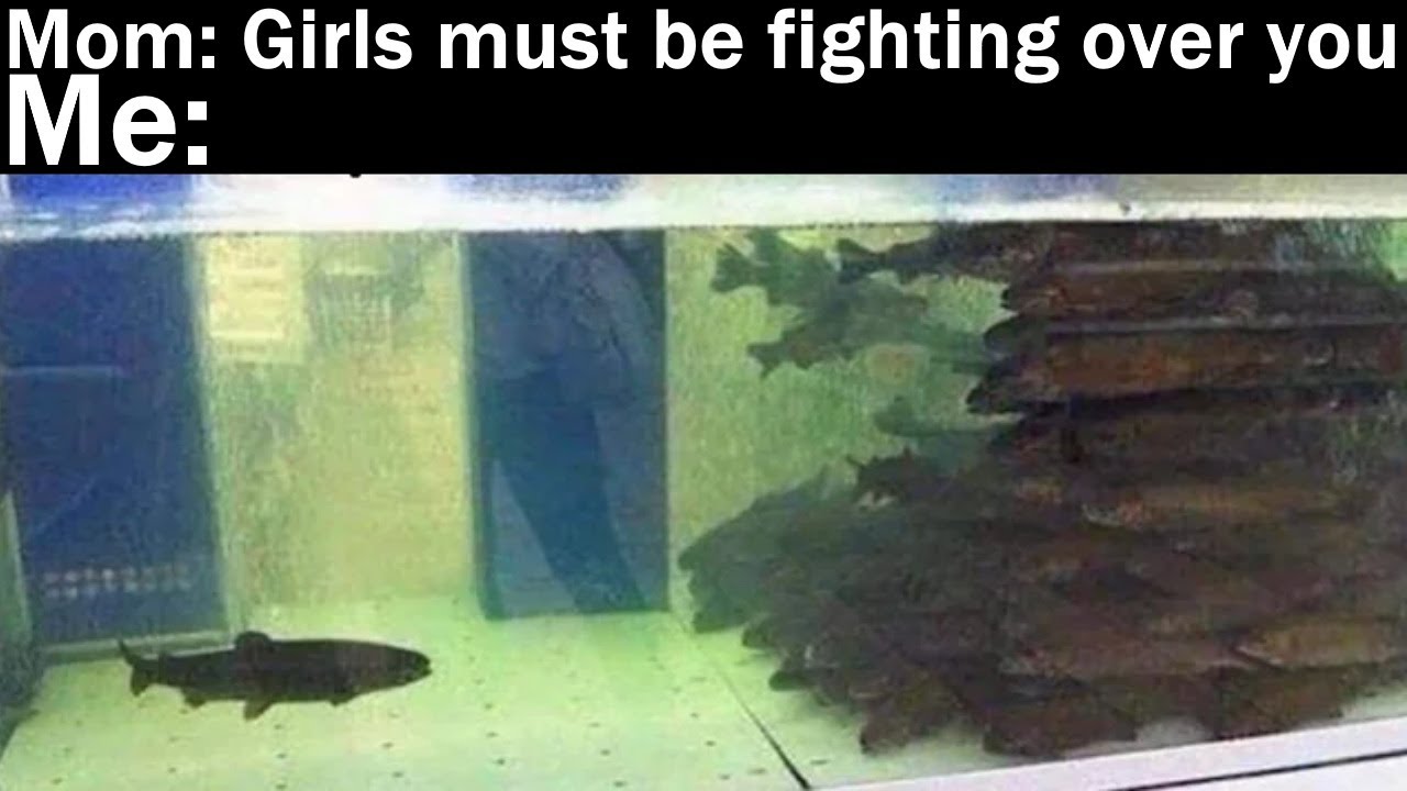Nightly Juicy Memes 1214 + 1215
