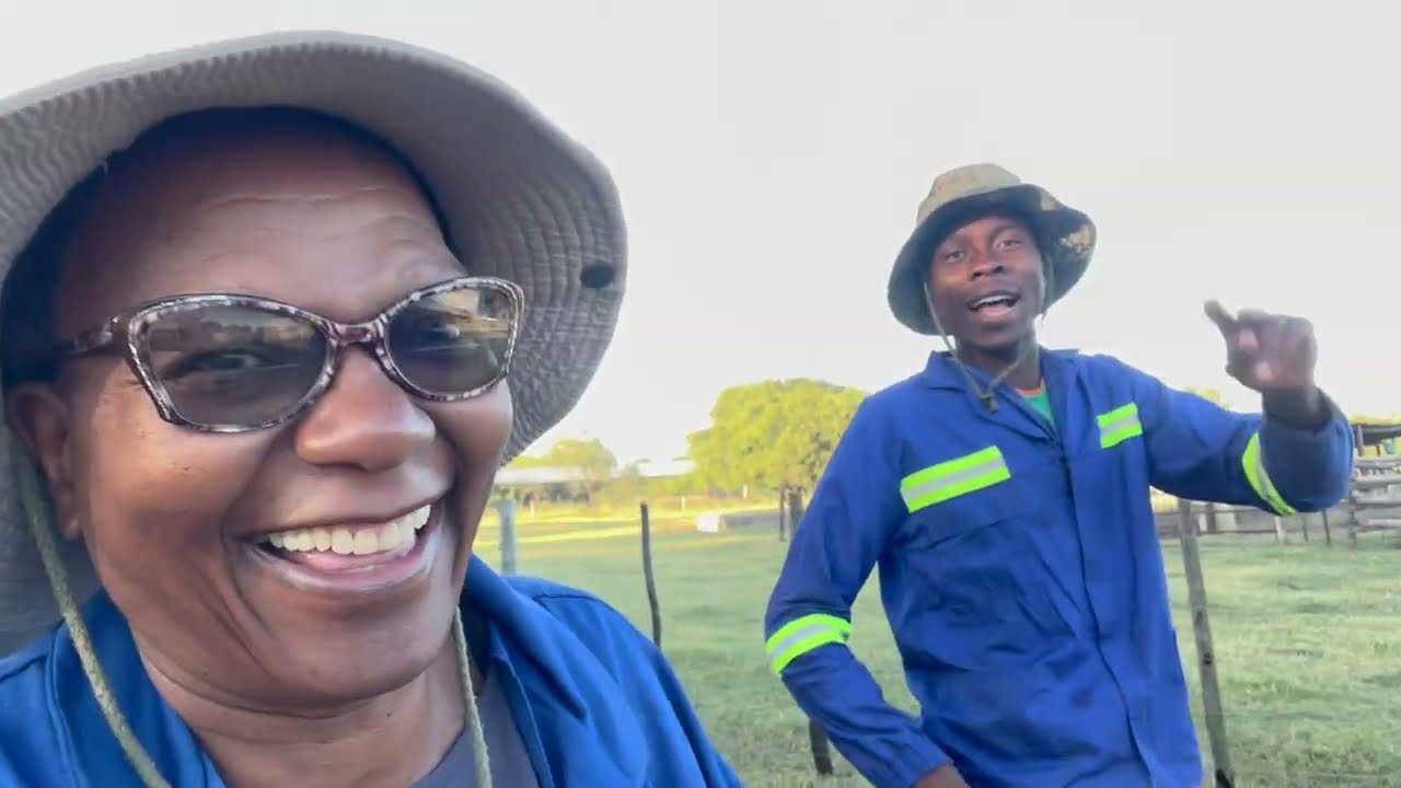 How Zvikomborero Farm Is Empowering Young Zimbabweans In Goat Production-Learning For Posterity