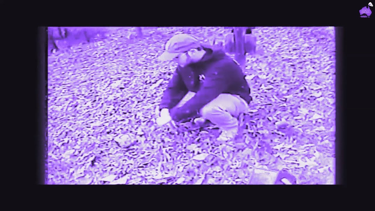 Freddie Dredd - Oh Darling [Chopped & Screwed] PhiXioN
