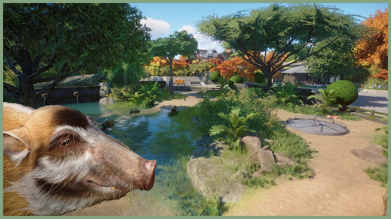 🐖Natural red river hog habitat | Soliuko Zoo | Planet Zoo | speedbuild🍁