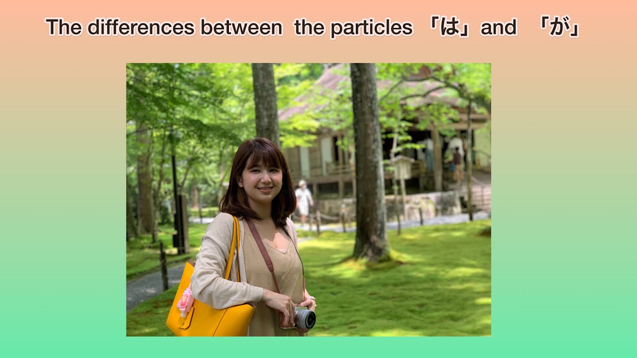 The differences between the particles 「は」and 「が」