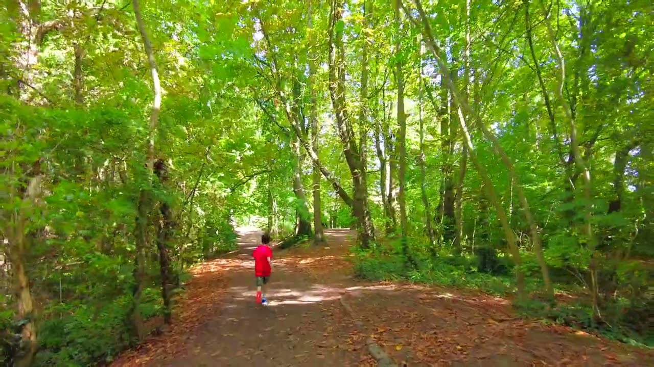 4k walk through woodland of Preston Park River Tees, Eaglescliffe Stockton Yarm Preston Hall Museum