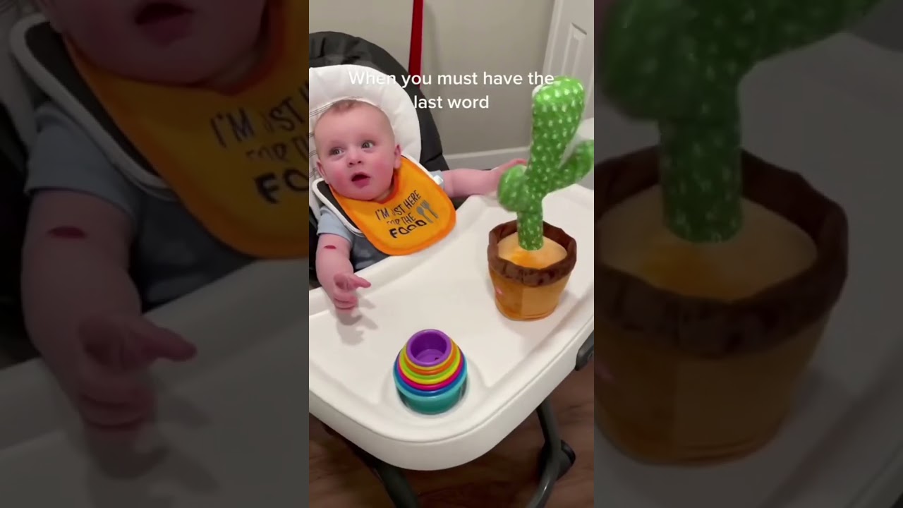 Talking Cactus Toy Hilarity: Baby's Unbreakable Smile and Laughter! #toys #cactustoys #babytoys #bab