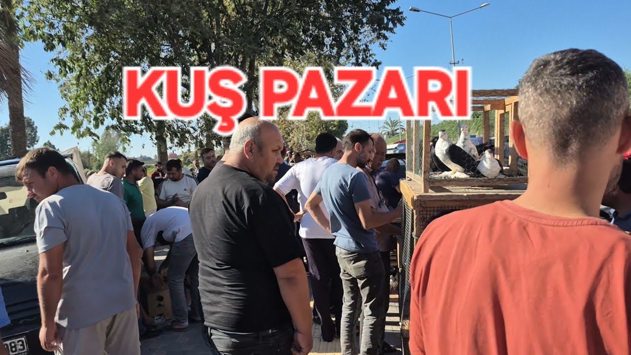 ADANA KUŞ VE TAVUK PAZARI #keşfet #seyhan #adana #kuşpazarı 21 Ekim 2025
