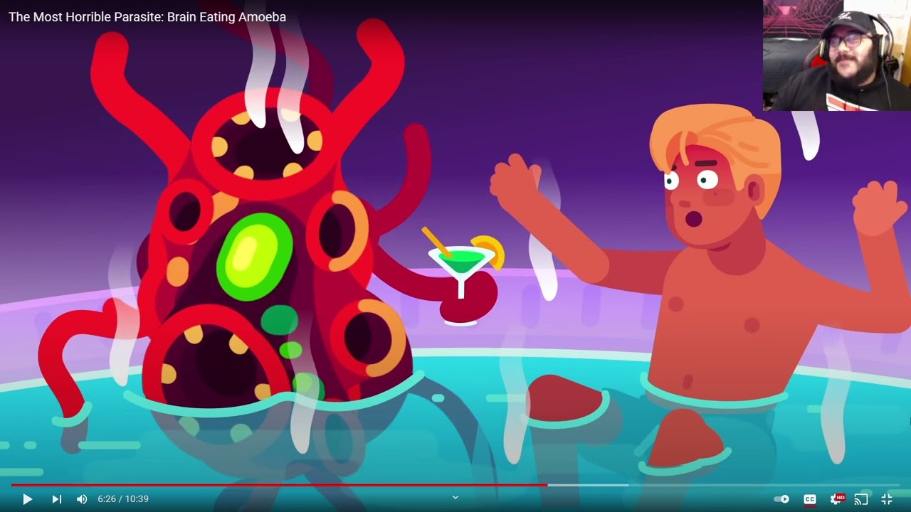 The Most Horrible Parasite Brain Eating Amoeba- Kurzgesagt – In a Nutshell (REACTION)