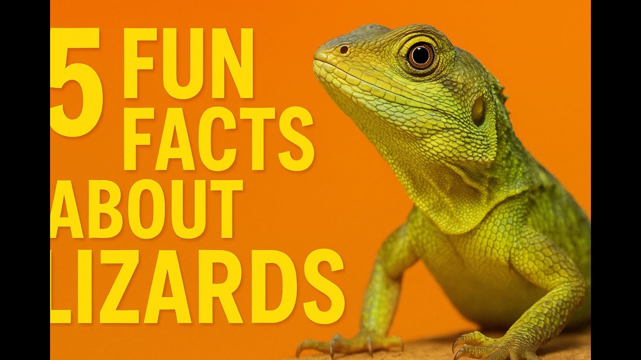 5 Lizard Facts That Will Blow Your Mind!
