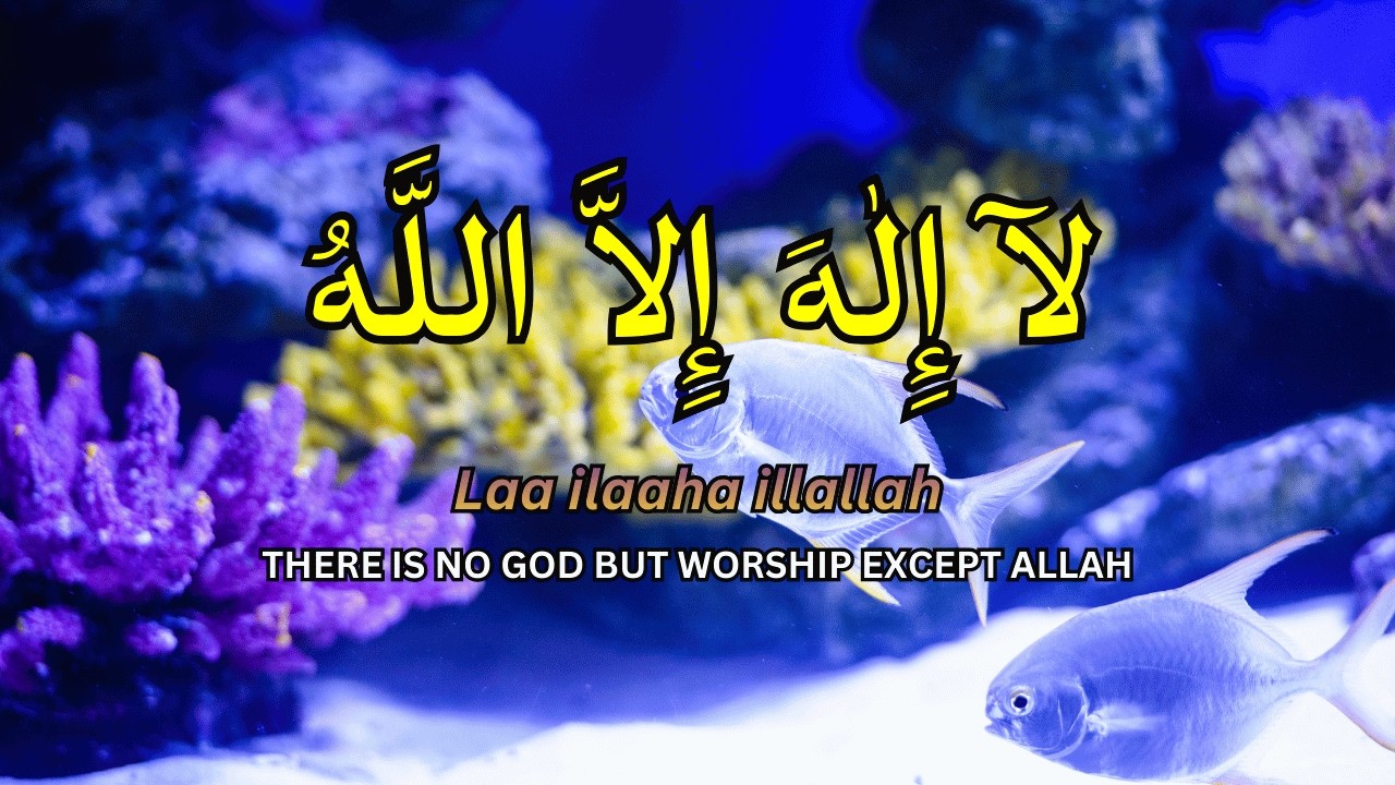 Dhikr for Stress Relief | Calm Your Mind and Heart