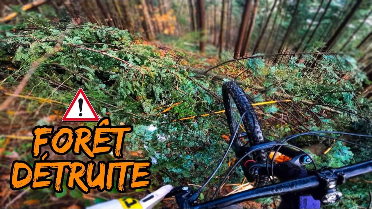 SORTIE VTT:  La for&ecirc;t est d&eacute;truite !