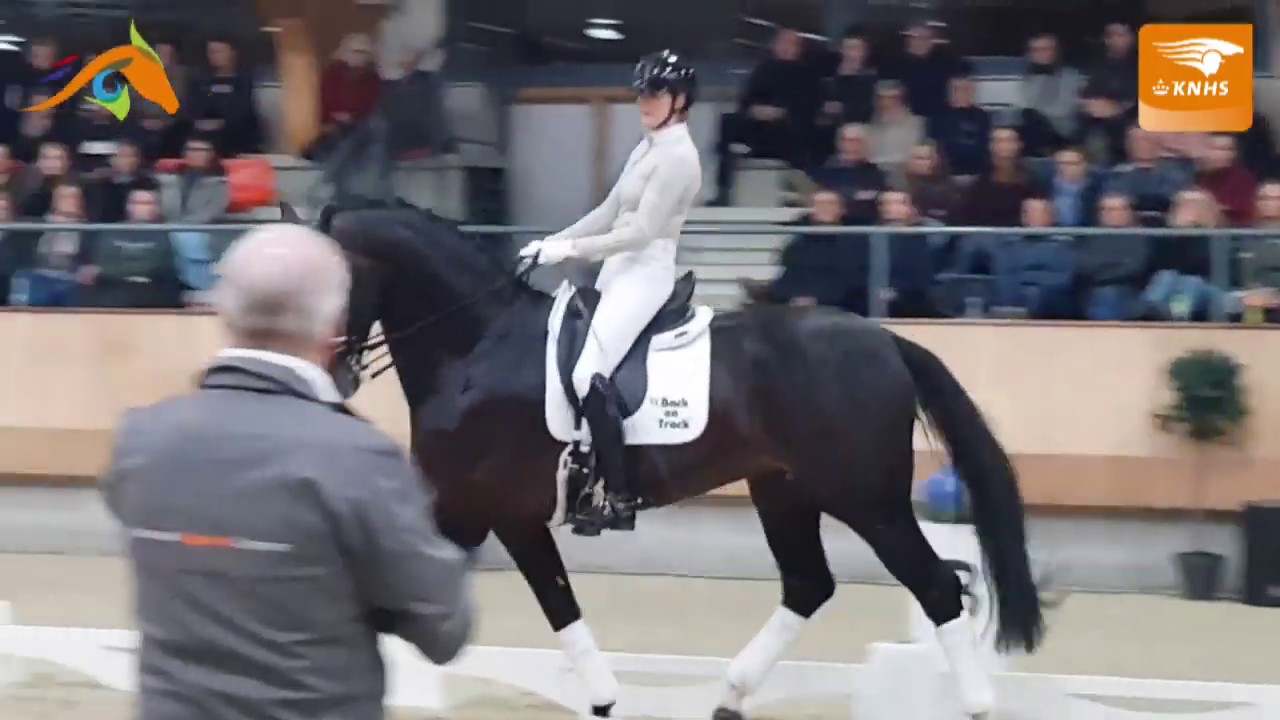 Aftermovie KNHS College Tour Jonge Paarden Rijden met Johan Hamminga en Emmelie Scholtens