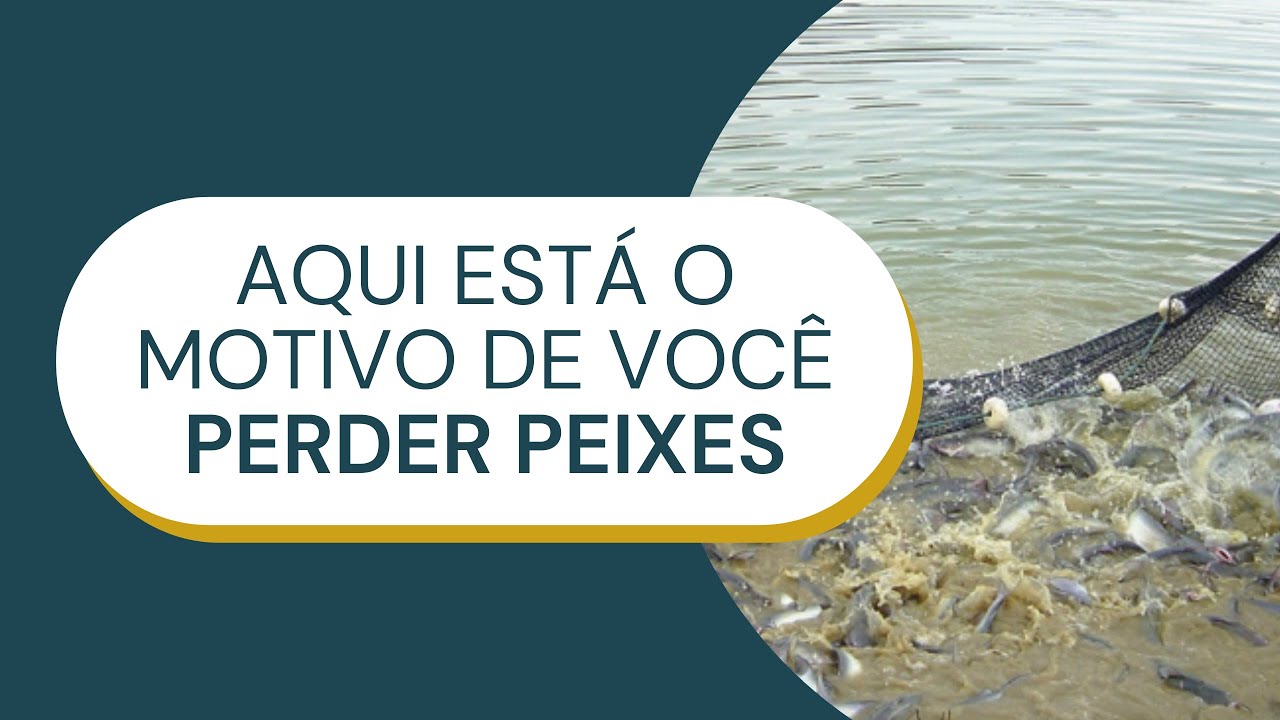 É por isso que você perde peixes na sua produção