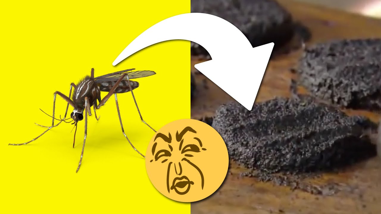20 Cosas que no sab&iacute;as en 5 minutos! ⏰ [123]