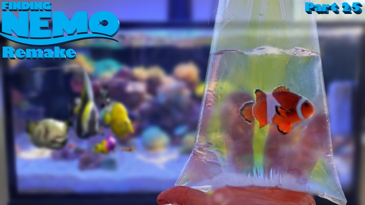 Finding Nemo: The Live Action Remake (Part 25)