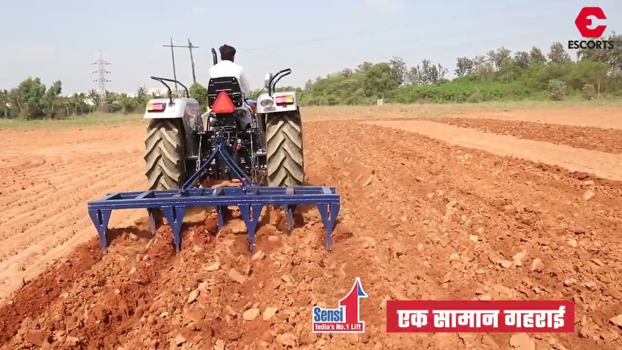 Powertrac Euro 55 Next With Duck foot Cultivator | etdc