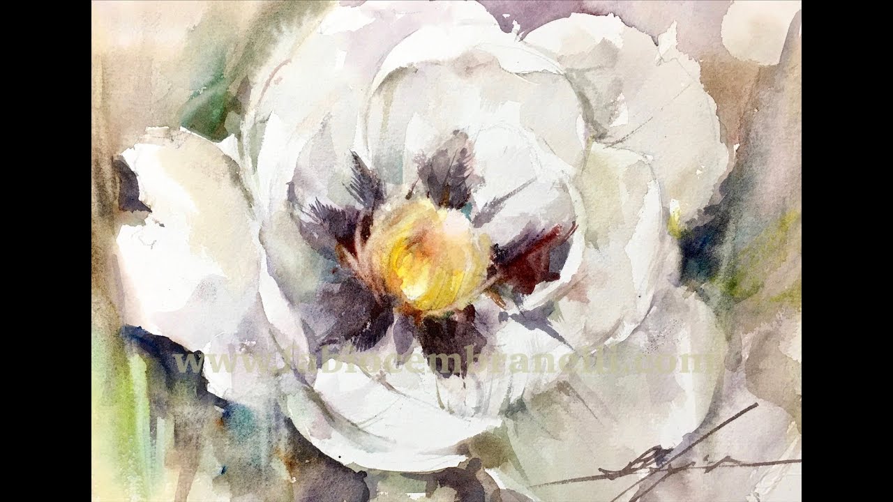 Watercolor/Aquarela - Demo - White Peony
