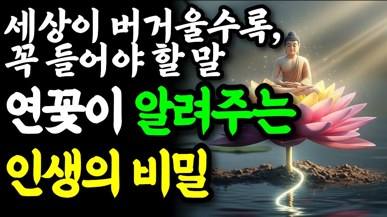 연꽃처럼 살기 | 혼란 속에서 마음의 맑음을 지키는 법