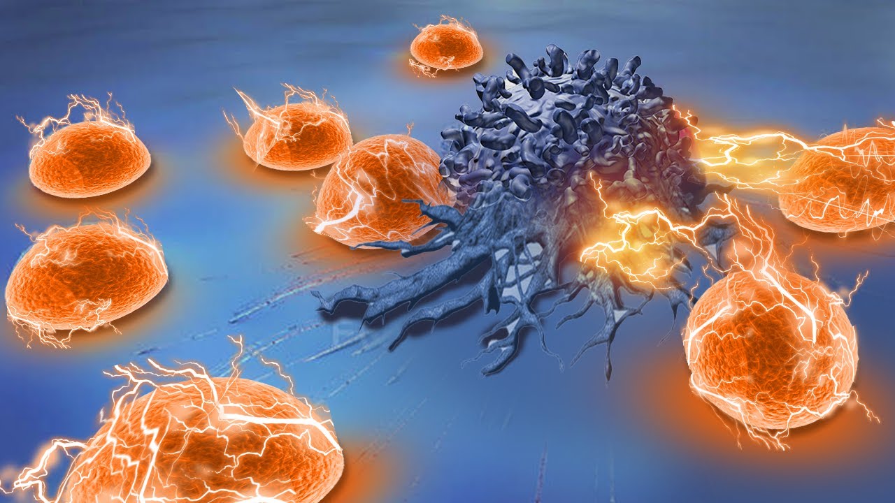 CAR-T Therapy: Cancer Treatment You (May) Not Know About | Target Cancer
