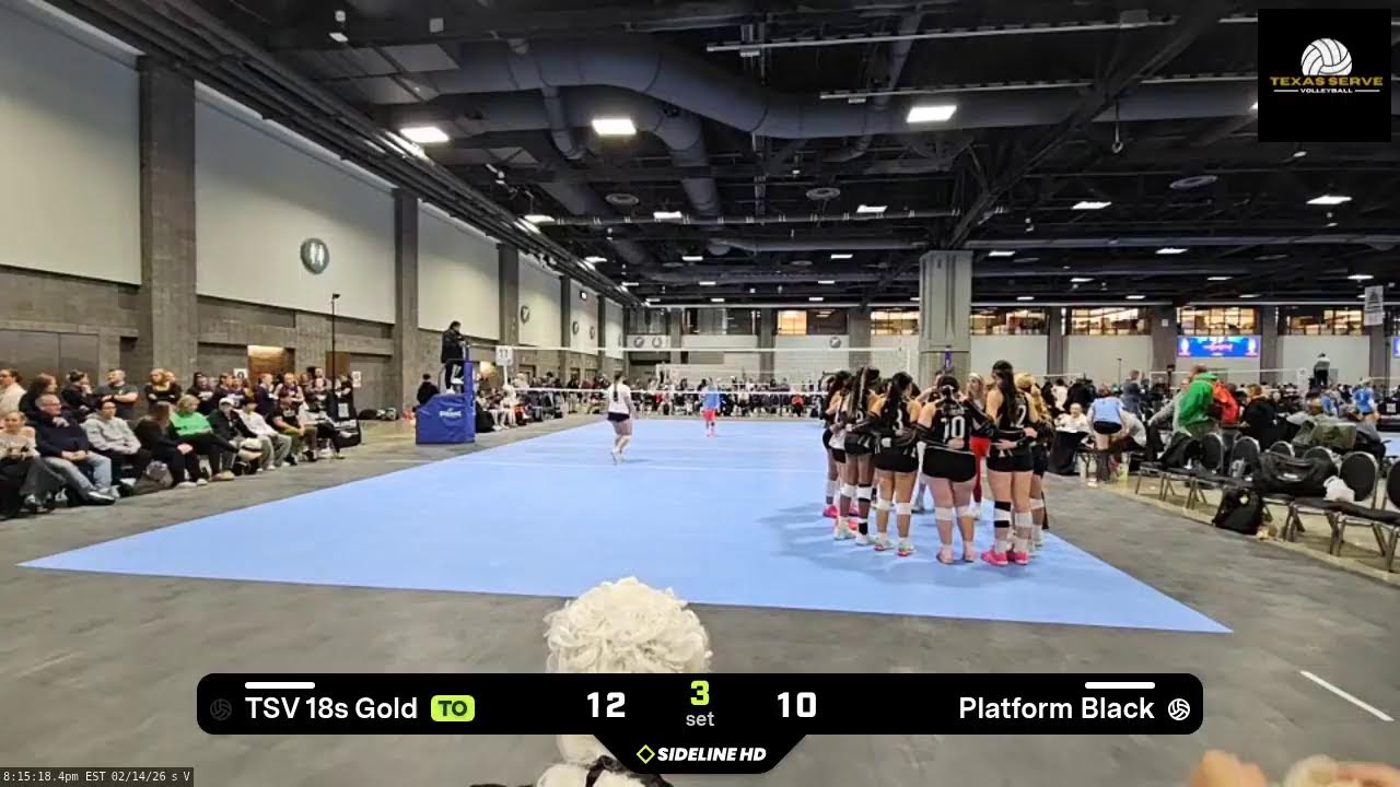 TSV 18s Gold @ Platform Black (2026.02.14)