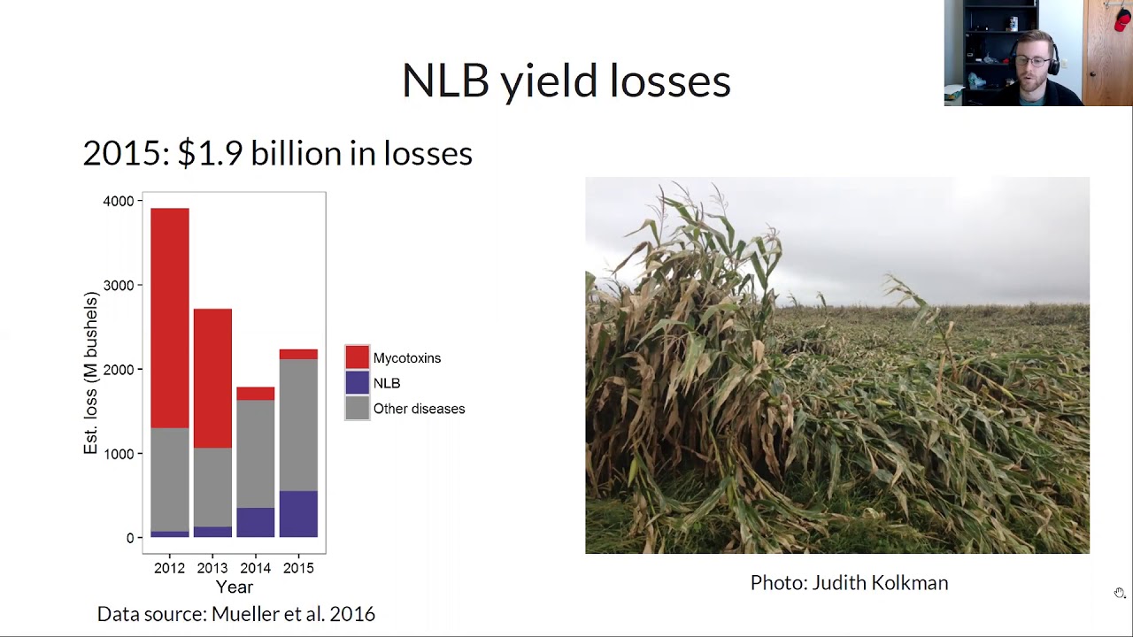 Autonomous detection of plant disease symptoms directly from aerial imagery