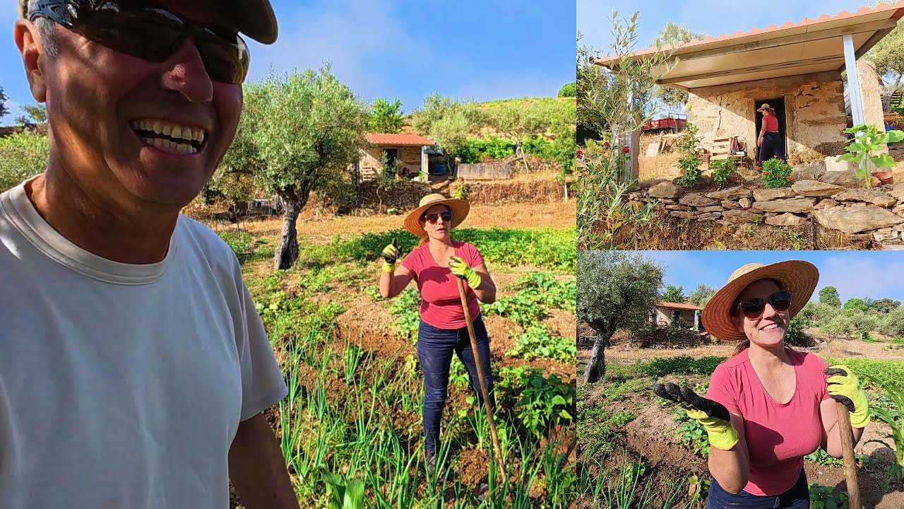 Estamos ricos e não sabíamos! #tour pela casinha da horta