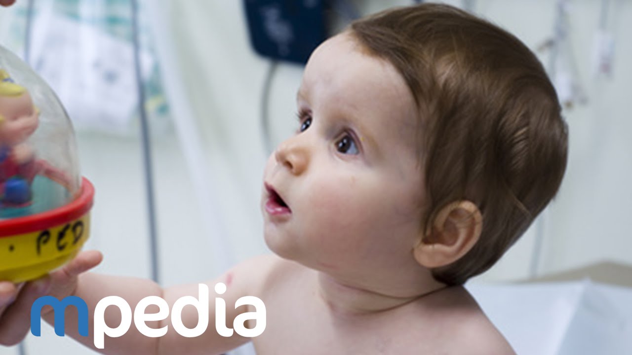 Le développement du langage à partir de la naissance.