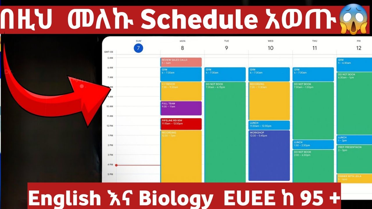 English እና Biology EUEE ከ95+ ለማምጣት በዚህ  መለኩ Schedule አወጡ😱