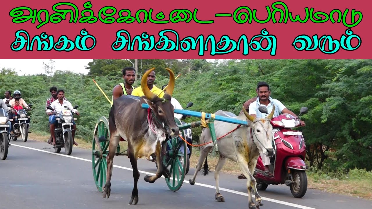 ETSS - அரளிக்கோட்டை (பெரியமாடு-17.01.2020)