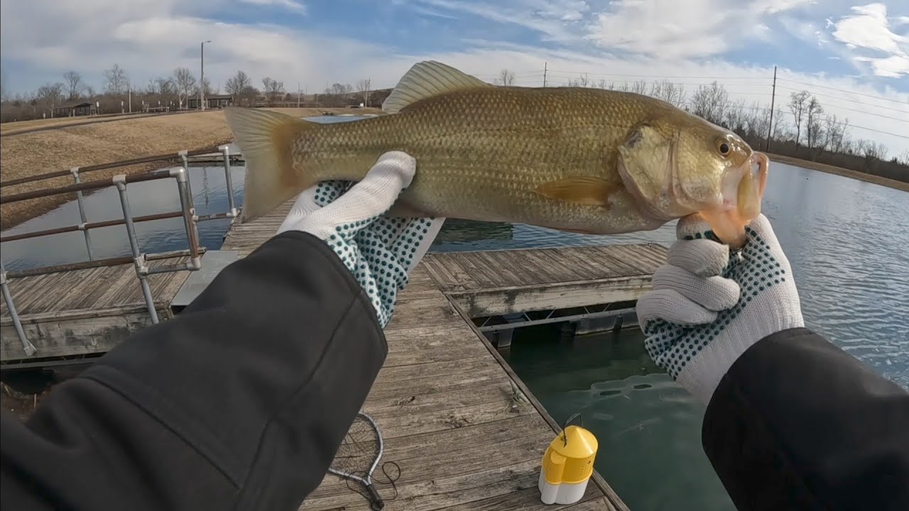 Nice bass bite. 