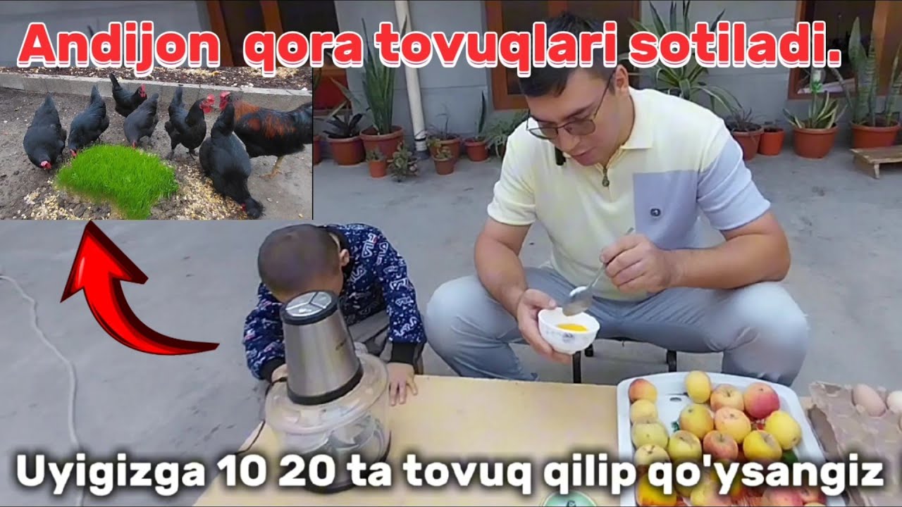  Andijon qora tovuqlari Sotiladi.+99890 278 06 12. Avto Trent. 
