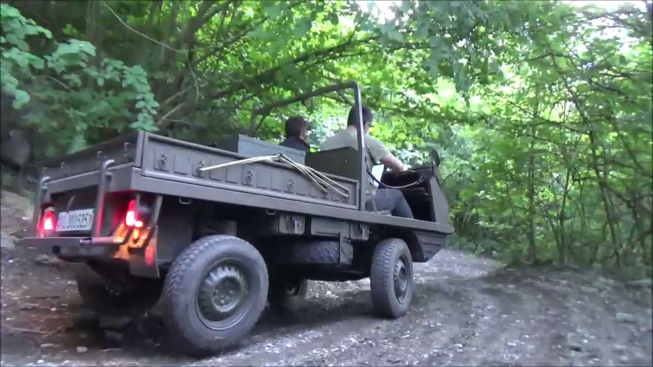 Haflinger Puch Suisse 2021