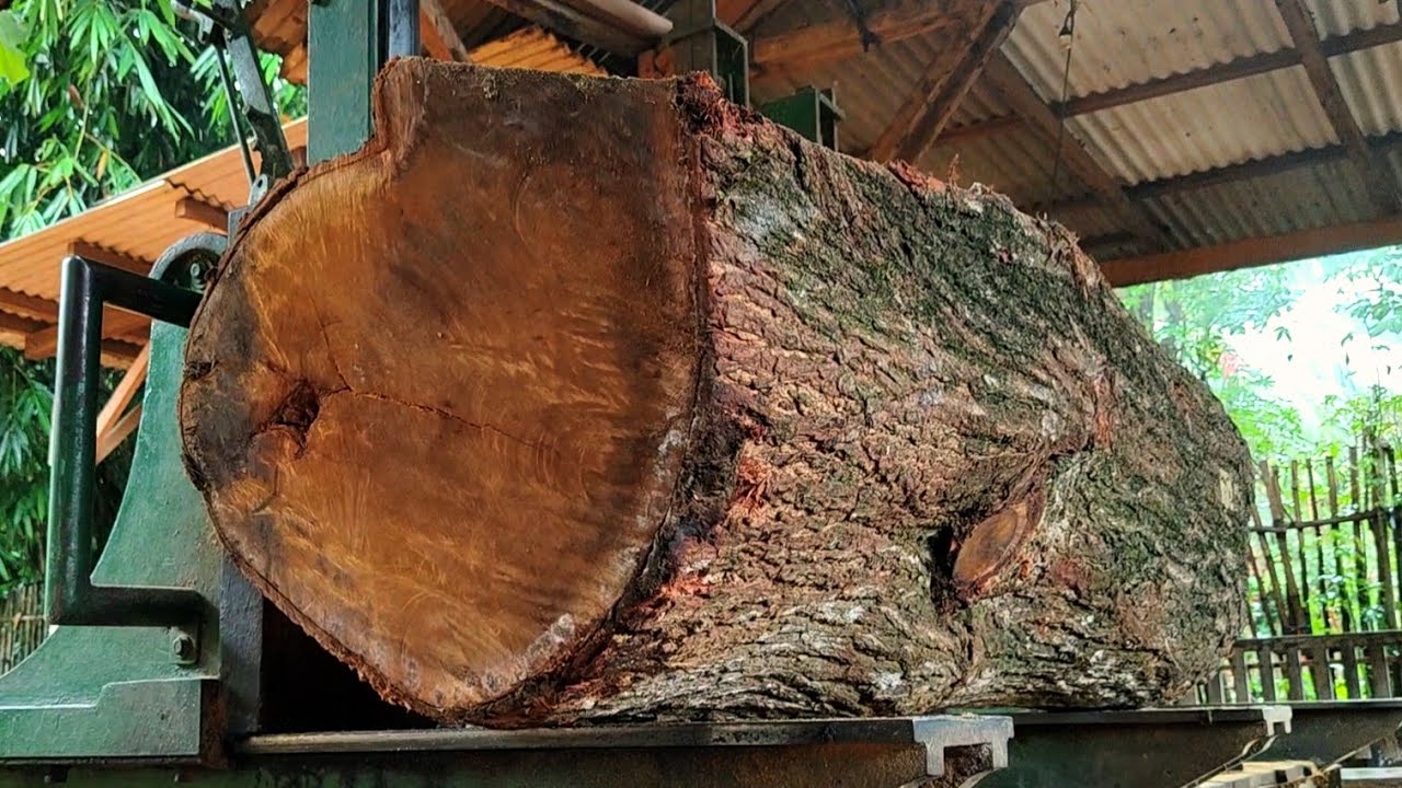 🌲EXCITING! The beautiful process of splitting wood for boards 