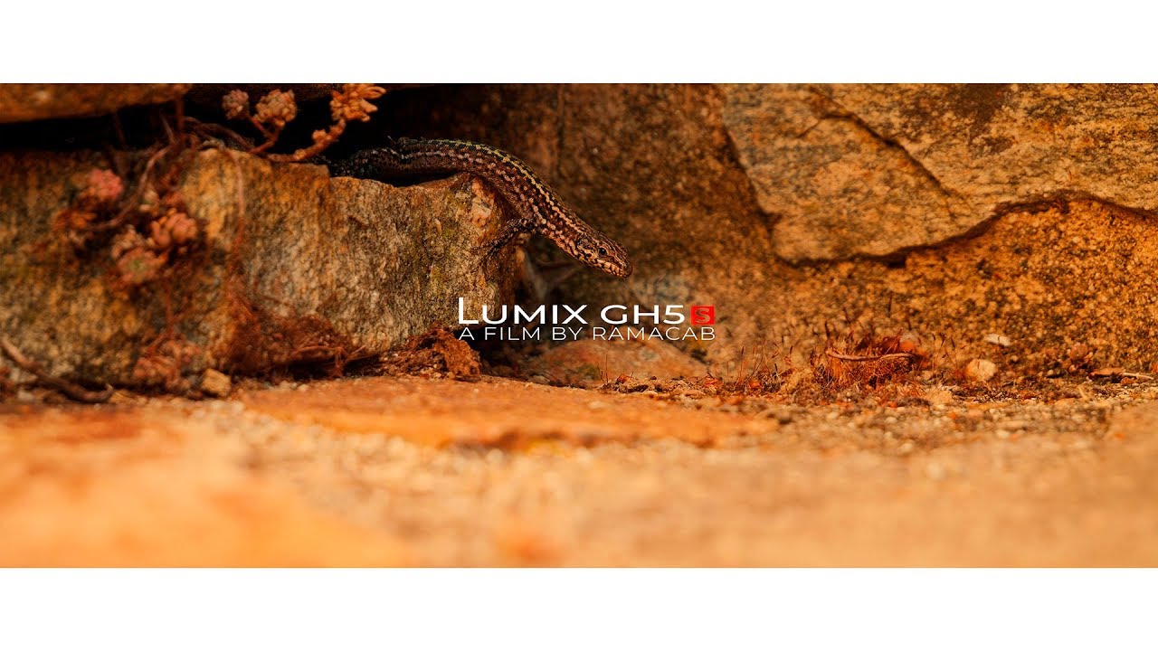 PANASONIC GH5S CINEMATIC FOOTAGE - Weekend trip