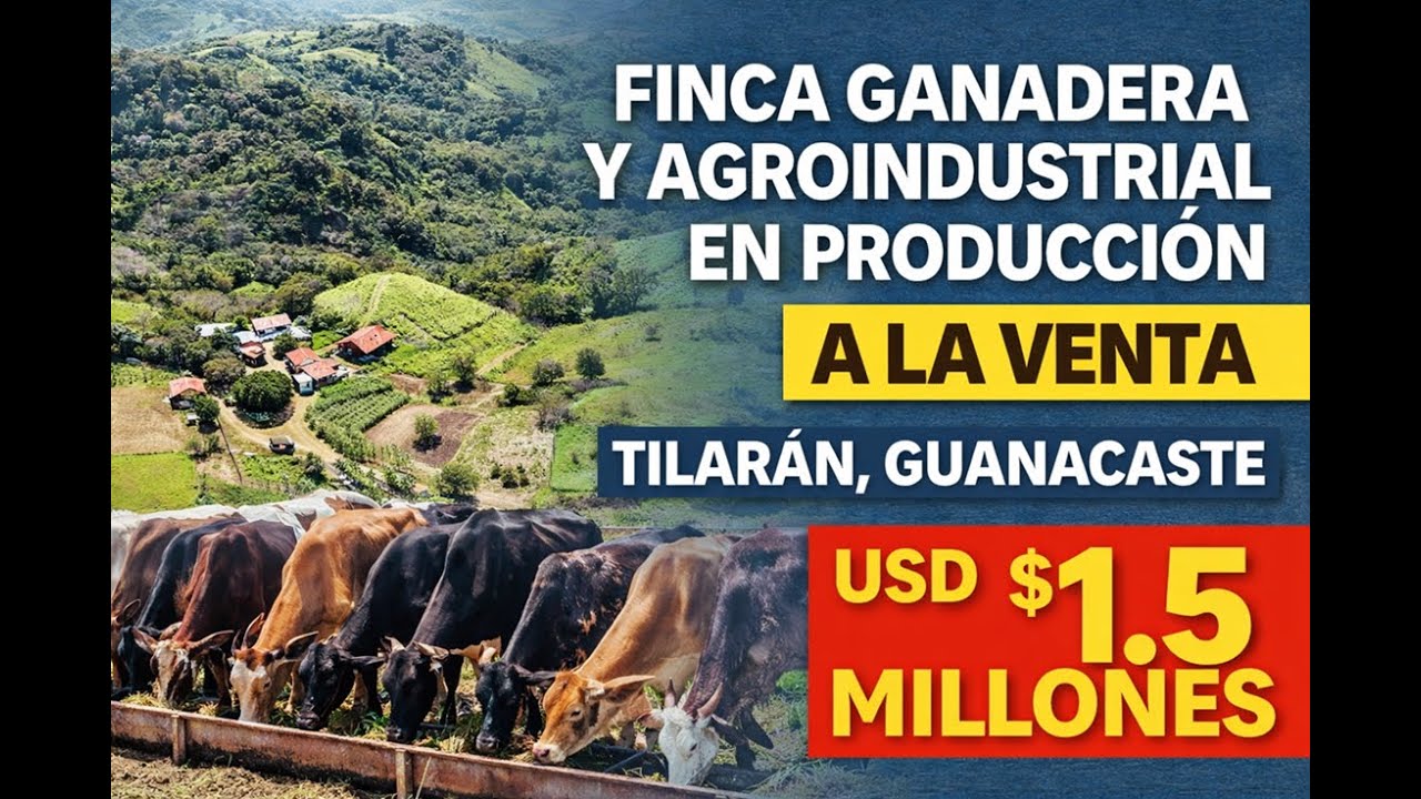 Finca Ganadera y Agroindustrial en Producción – Tilarán, Guanacaste 🇨🇷