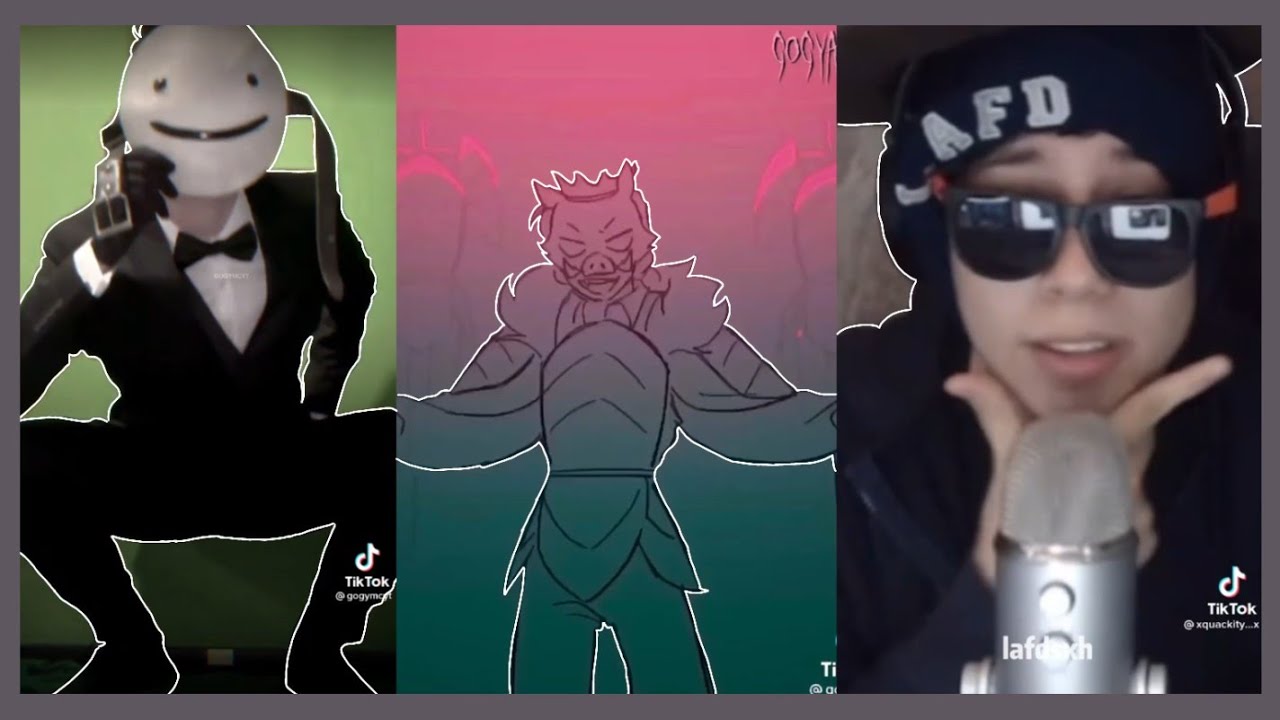 ✨ MCYT TikToks #27 ⚠️flash warning for some!⚠️