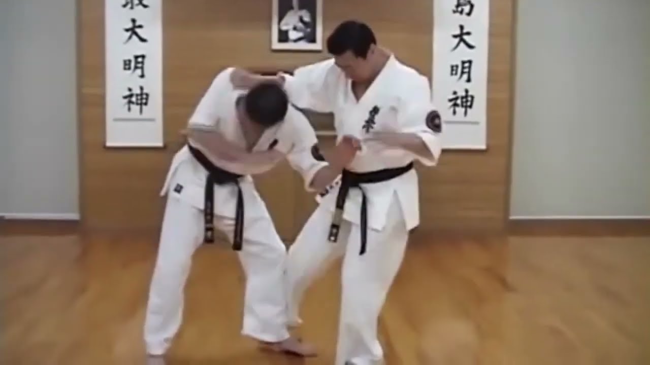 Demonstration of Kyokushin Karate Techniques by Daigo Oishi
