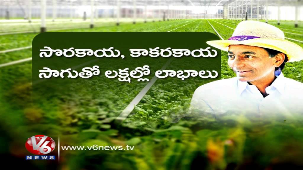Wonders In Agriculture || TRS Chief KCR's Farm House || Spot Light