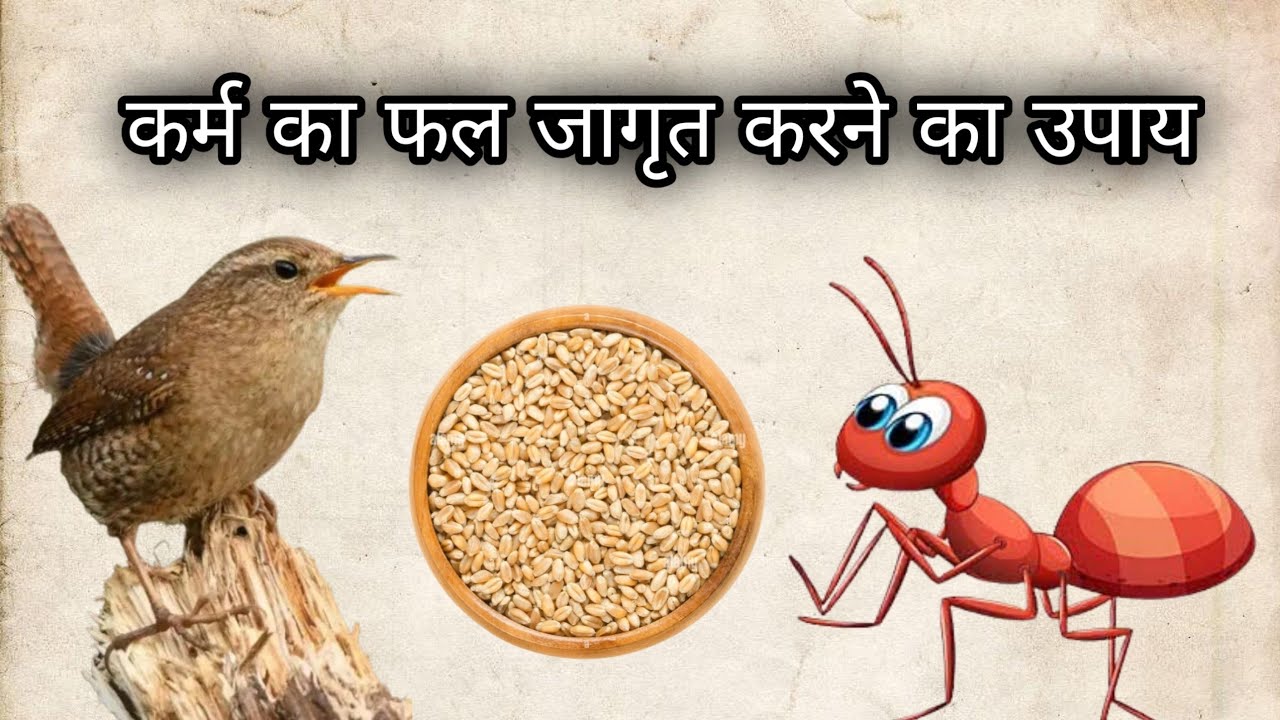 📕कर्म का फल जागृत करने का उपाय📕