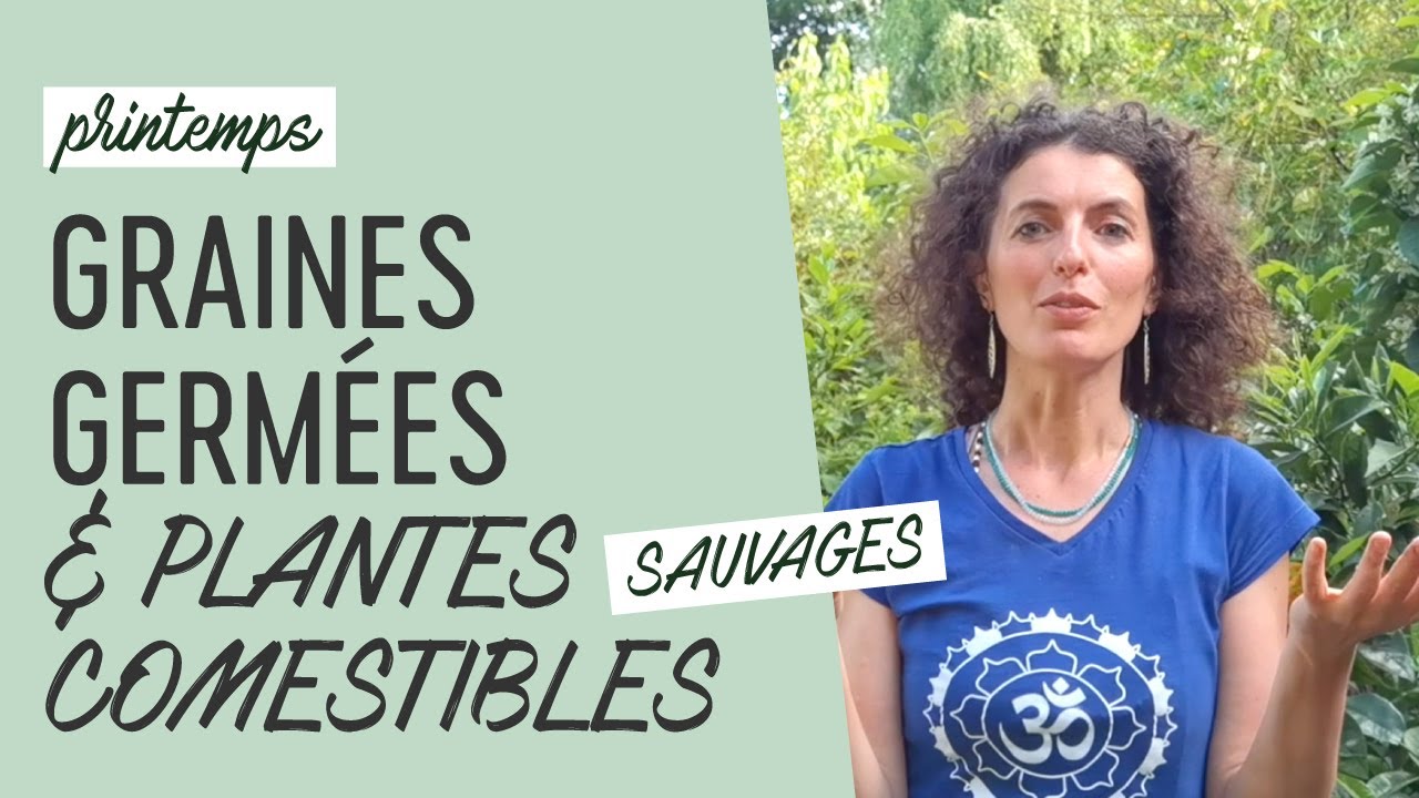 Graines germées & plantes comestibles