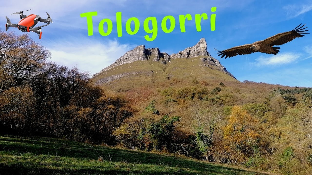 Tologorri - el reino del buitre