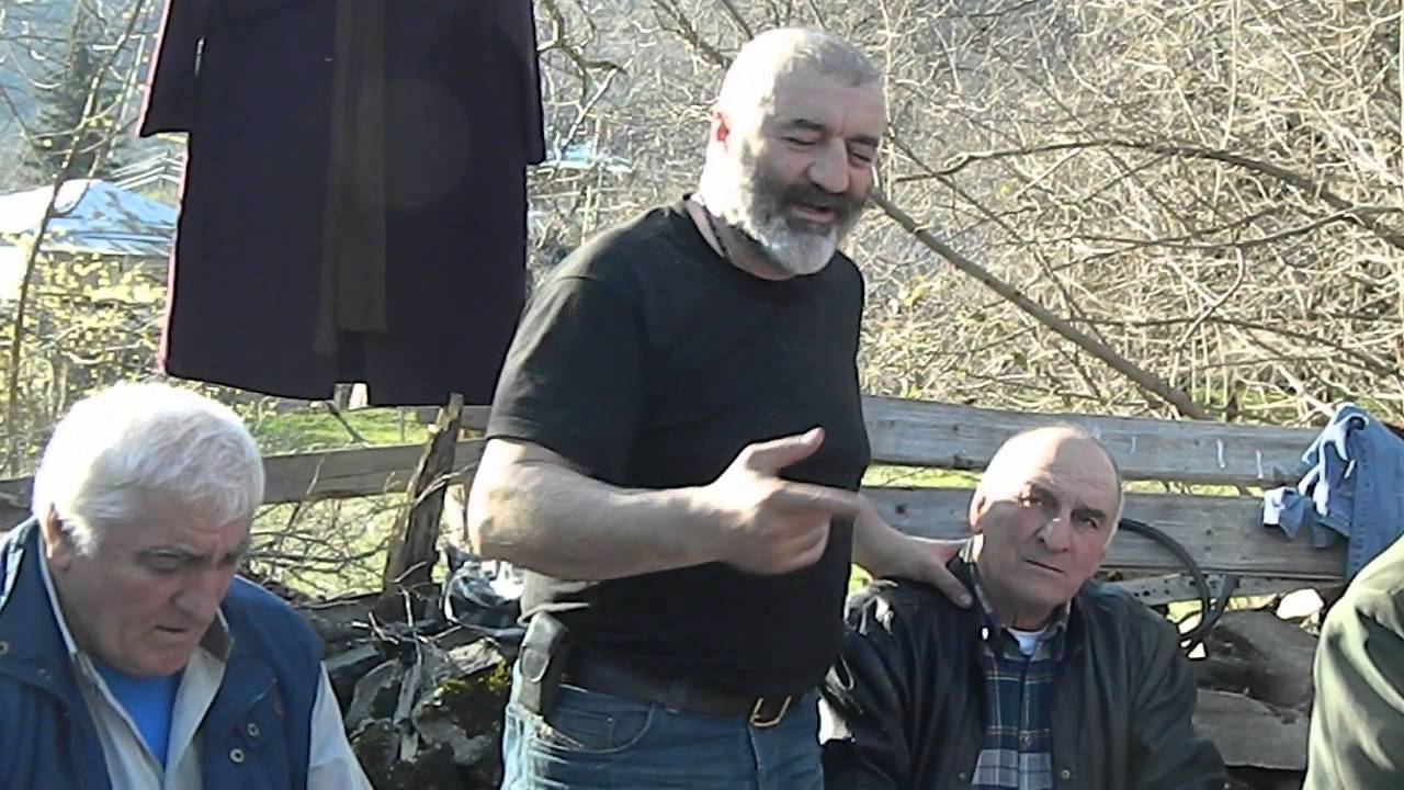 გია ჯაფარიძე - 