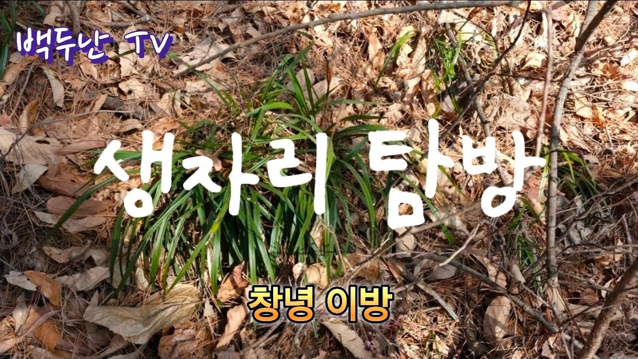 [산행일지]생자리 탐방#창녕이방#우포