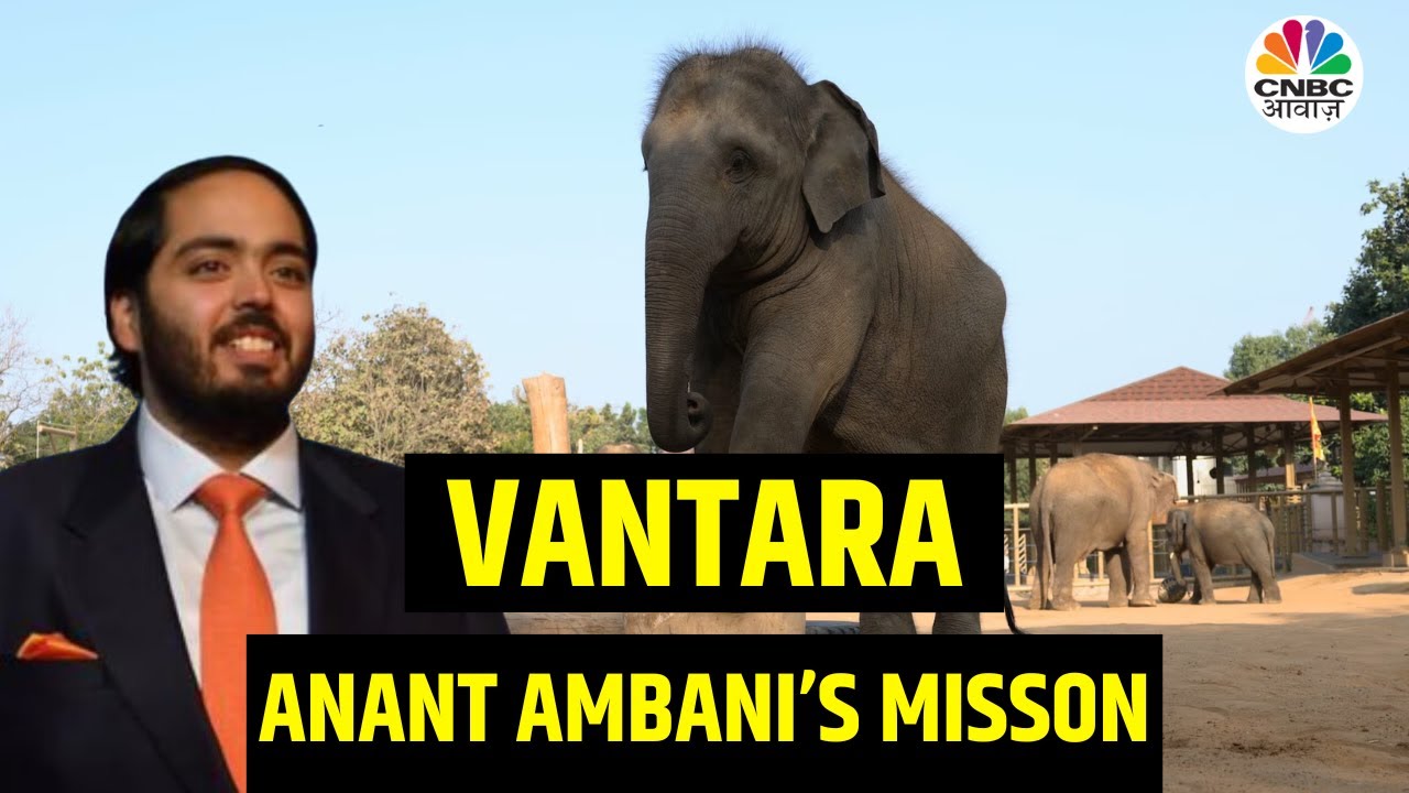 VANTARA: Anant Ambani ने बताई अपने वनतारा की खासियत, किसने इसे शुरू करने के लिए किया Inspire? | N18V