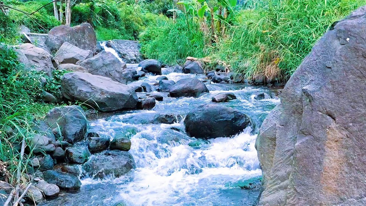 Natural River Flow for Mind Reset
