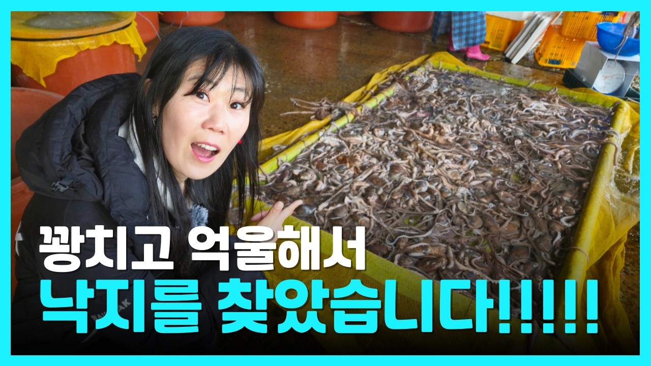 낙지낚시 낙지가 여기 다 있었어요!!!! 용궁포차 그노포차 사천남해여행 경남사천맛집