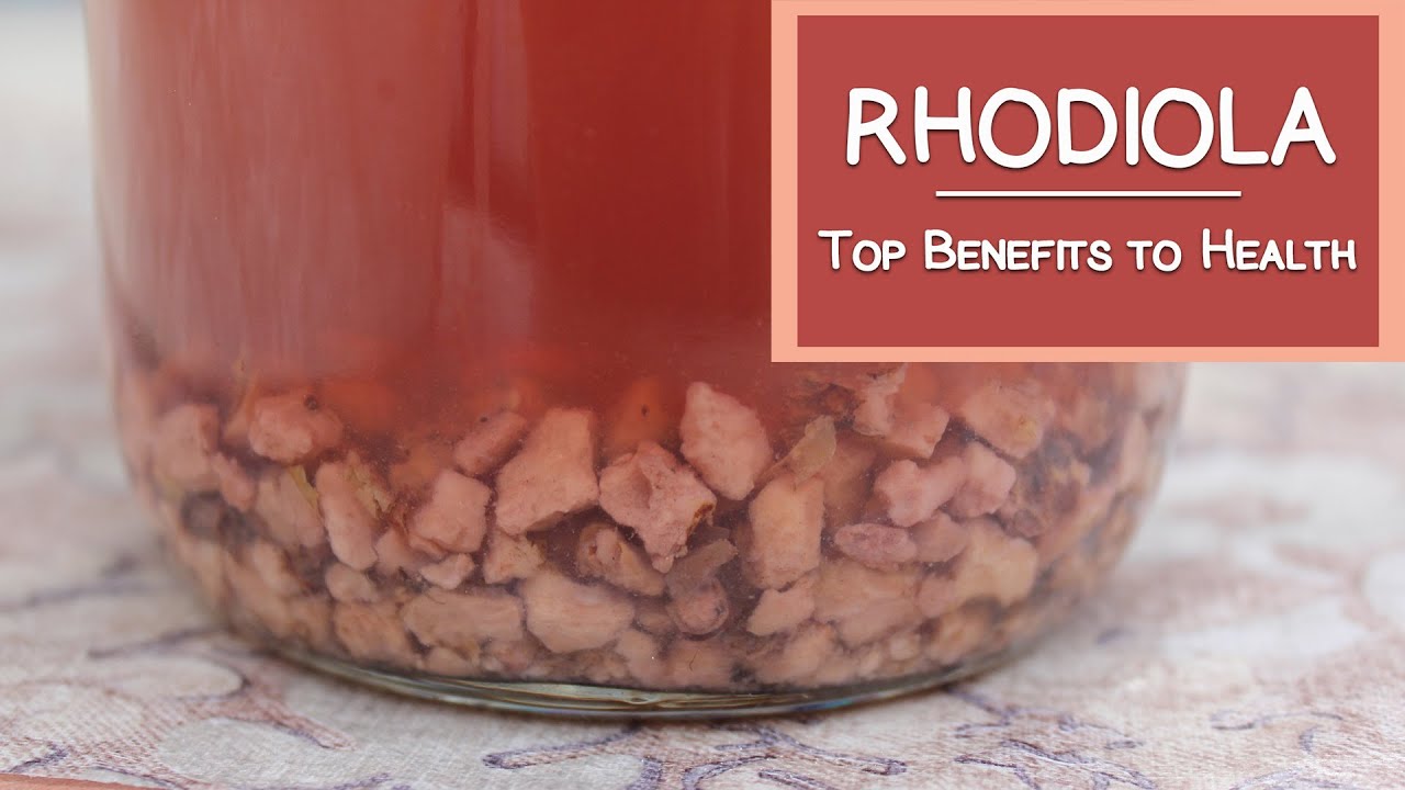 What is Rhodiola? Top Health Benefits